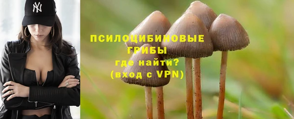 стафф Семилуки