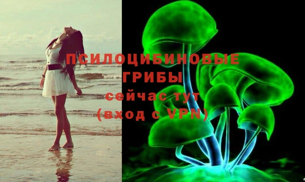 a pvp Беломорск