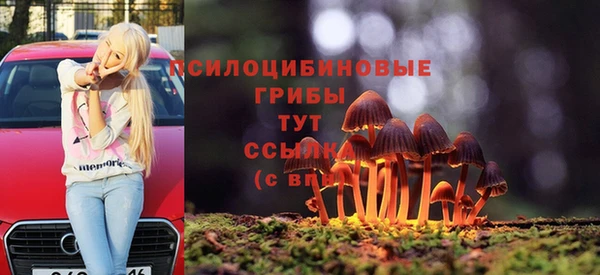 стафф Семилуки