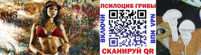 Галлюциногенные грибы Psilocybine cubensis  мега ссылки  Минеральные Воды 