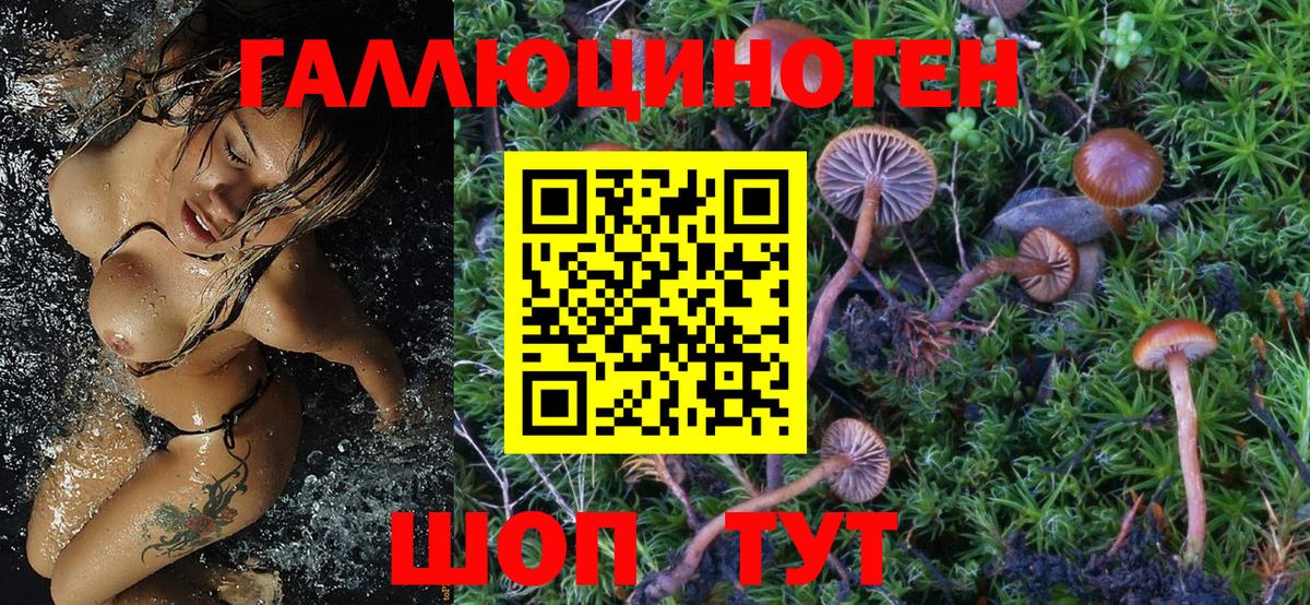 Псилоцибиновые грибы GOLDEN TEACHER Минеральные Воды