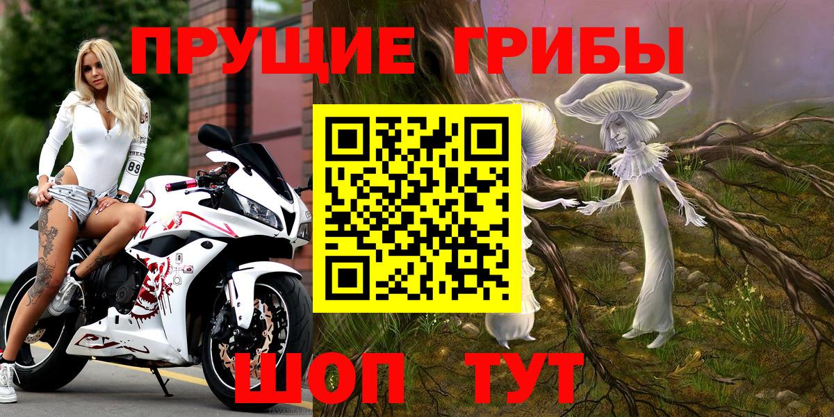 Псилоцибиновые грибы Psilocybe  Псилоцибиновые грибы Psilocybine cubensis  Вход с VPN  Минеральные Воды 